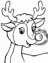 Renne Coloriage Nez Rudolph Reindeer Rudolphe Dessus Christmas Magicmaman sketch template