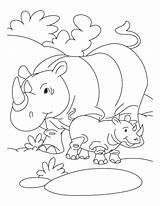 Coloring Pages Rhinoceros Baby Rhino Printable Kids Animal Endangered Colouring Animals Zoo Color Rhinos Sheets Species Cartoon Big Print Five sketch template