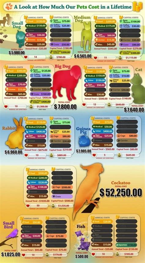 pets cost   lifetime data visualization encyclopedia information technology