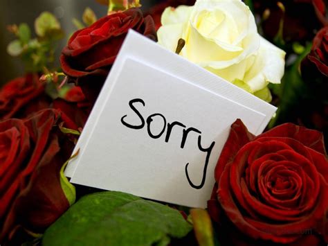 quotes   sincere apology picture messages zitations