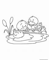 Ducks Eendjes Kleurplaten Childrens Omnilabo Hertje Dieren Downloaden sketch template
