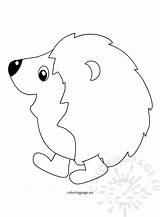 Hedgehog Autumn Coloring Animal Coloringpage Eu sketch template