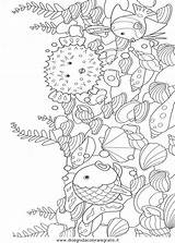 Kleurplaat Zee Mooiste Arco Ciel Kleurplaten Regenbogenfisch Colorat Disegno Colorear Peixe Animale Arcobaleno Marino Fondale Tegninger Naturaleza Poisson Curcubeu Natureza sketch template