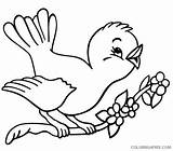Coloring Spring Pages Bird Coloring4free Branch Printable Kids Related Posts sketch template