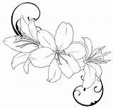 Lily Coloring Pages sketch template