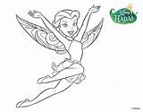 Rosetta Colorear Fairies Hadas Roseta Hada Coloringcrew Fadas Imagui sketch template