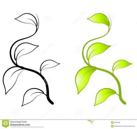 vine stems clipart   cliparts  images  clipground