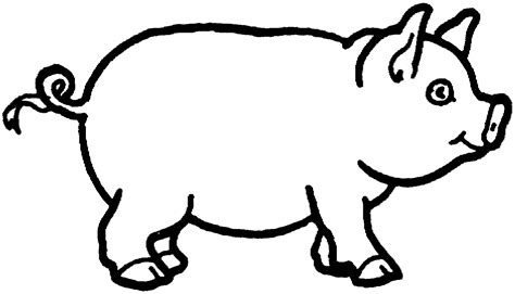 pig  colouring pages