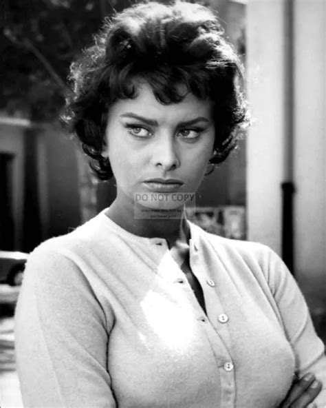 Sophia Loren Legendary Actress And Sex Symbol 8x10 Publicity Photo