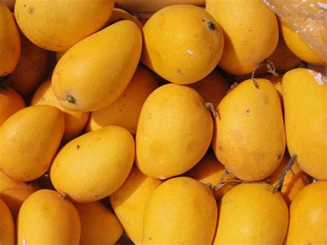 hyderabad mangoes   turn costly due  unseasonal rains