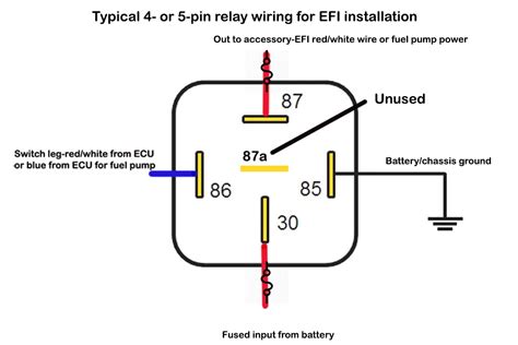 holley terminator  electric fan wiring diagram terminator  wiring diagram holley terminator