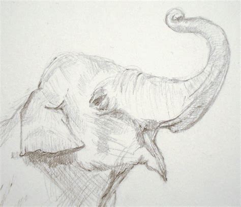An Elephant A Day Elephant No 353 Anamorphosis