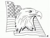 Patriotic Vlag Flagge Amerikanische Drapeau Aigle Symbole Kleurplaat Americain Dag Coloriages Unis Etats Colorier Flaggen Clases Soldat Amerikaanse ähnliche Kategorien sketch template