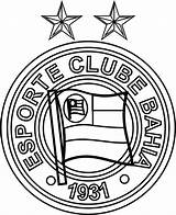 Colorir Futebol Bahia Clube Esporte Escudos Botafogo Emblema Grátis Emblemas Voltar sketch template
