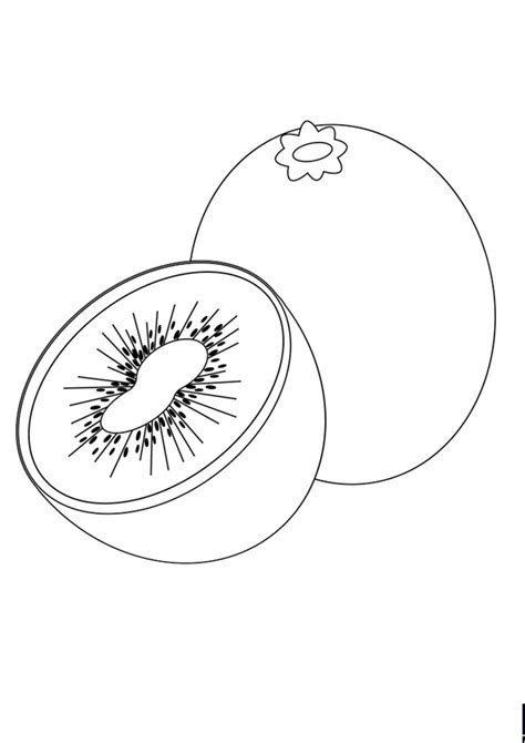 coloring pages kiwi fruit coloring pages  kids