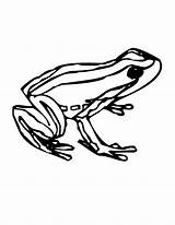 Frog Coloring Pages Tree sketch template