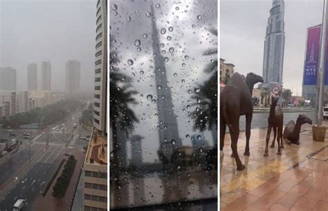 dubai rain torrential downpour lashes city uae motorists warned arabian business