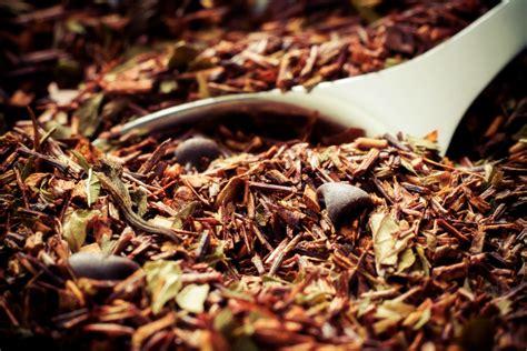 Seeing Red Exploring South Africa’s Rooibos Tea Route