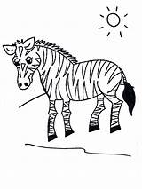 Coloring Zebra Grassland Animals Grasslands Clipart Pages Library Popular sketch template