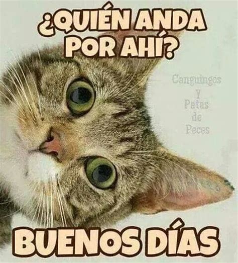 buenosdias saludos saludos de buenos dias buenos