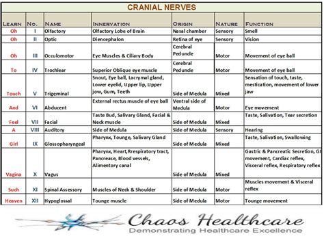 learning   cranial nerves posted  eminem  medical medical