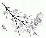 Coloring Cherry Blossom Pages Tree Colouring Clipart Library Dragonfly Butterflies sketch template
