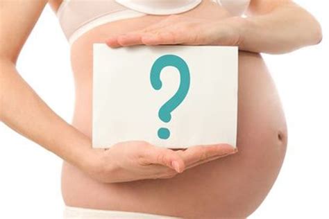 faq  bellies ultrasound ddd dhd pregnancy spa