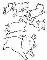 Pigs Piglets sketch template