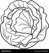 Cabbage Coloring Cartoon Vegetable Vector Book sketch template