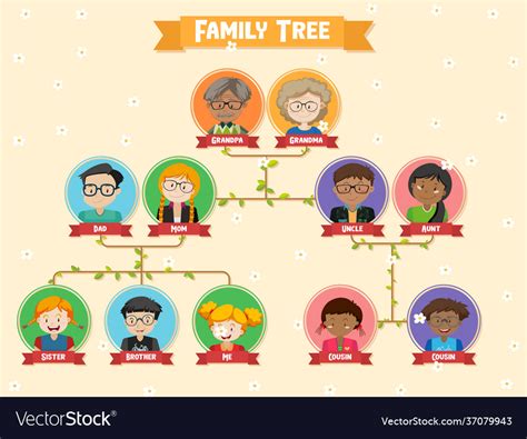 diagram showing  generation family tree vector image