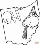 Ohio Coloring Pages State Buckeye Brutus Flag Printable Bird Color Getcolorings Drawing Silhouettes Popular Supercoloring Categories sketch template