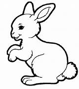 Bunny Coloring Rabbit Pages Baby Easter Cute Drawing Printable Lapin Coloriage Petit Colouring Animaux Color Print Bear Ligne Bunnies Hopping sketch template