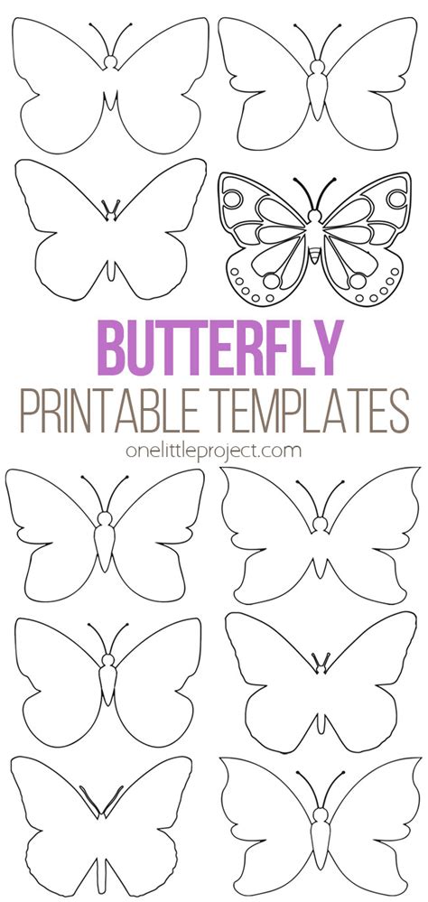 butterfly templates tim  printables butterfly stencil butterfly