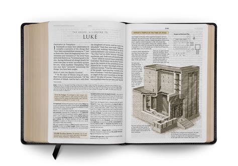 esv study bible large print trutone black english standard version