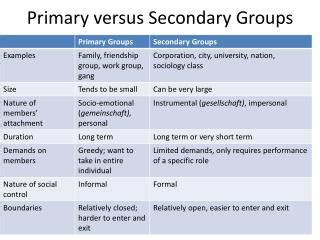 primary  secondary groups powerpoint