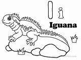 Iguana Kolorowanki Iguanas Dzieci Iguane Coloreardibujosgratis sketch template