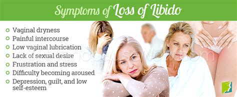 about loss of libido during menopause menopause now