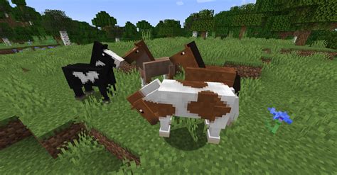 realistic horse genetics minecraft mod