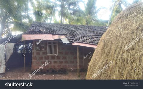 konkan village home trees kaularu ghare stock photo  shutterstock