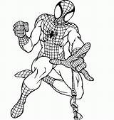 Spiderman Coloring Pages Man Spider Iron Marvel Book Kids Printable Colouring Adventures Hero Super Colorist Adults Printables Homecoming Christmas Clipart sketch template