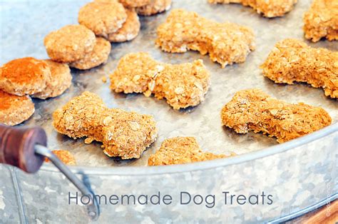 homemade dog treats recipe add  pinch robyn stone