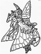 Adults Fairies Feen Clipartmag Dragones Grown Dragón Ridden Ausmalbilder Fate sketch template