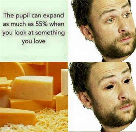 pin  kat farr  ha cheese meme funny memes food memes