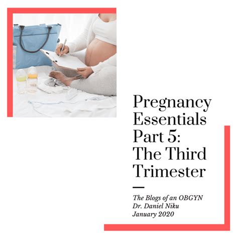 pregnancy essentials part 5 the third trimester daniel niku md ms
