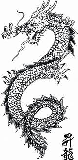 Dragon Tattoo Chinese Stencil Japanese Line Pattern Traditional Without Drawing Stencils Designs Tatoo Clipartist sketch template