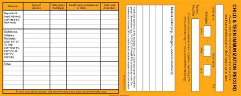 immunization card template  medical forms     word