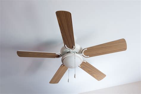 hottest ceiling fan design trends   petersen electric