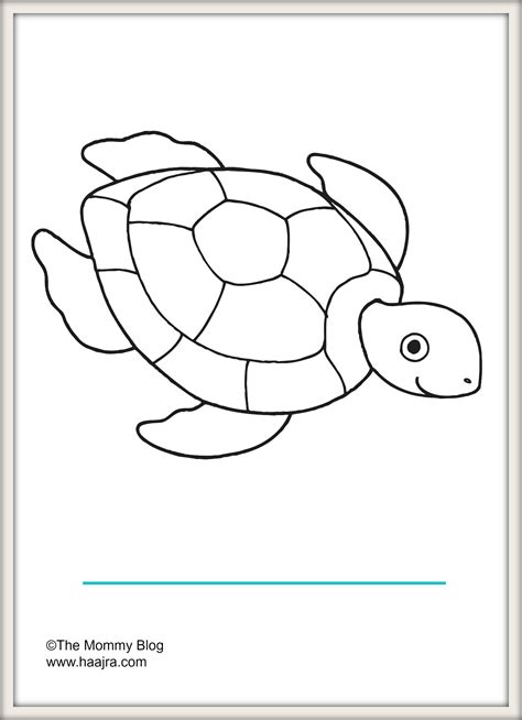 sea animals turtle preschool colouring pages printable