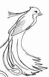 Phoenix Coloring Pages Bird Rising Printable Getcolorings Template sketch template