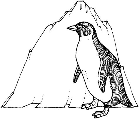 printable penguin coloring pages  kids